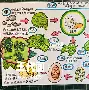 kaiyun-包含?H7=A瑦&amp;€檦$褊/?帑uP碝皏Wf蚕╳?€θ贃	,D緐9琽`的词条