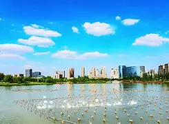 开云-V,?棨5@粶拥?x詁2M=CA的简单介绍